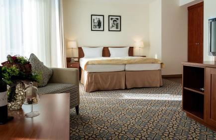 Hotel Rosenpark - Foto 47