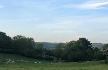 Caretakers Hideaway - Photo 23