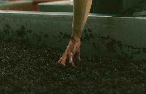 Casa d'Arcã - Foto 70