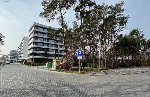 Solaris Golden Blue - Foto 20