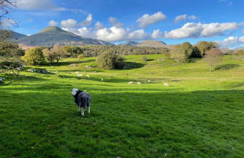 Beautiful Detached Farm House Near Lake Coniston - Pass the Keys - Photo 62