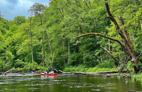 Stara Szkola - Wielki Medromierz 59 - Foto 45