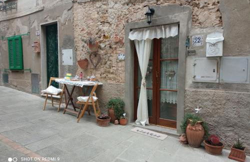 Le rose e i violini - Photo 3