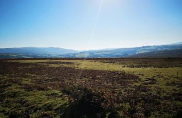 Pen-Rhos luxury glamping "Cuckoo's Nest" - Photo 10