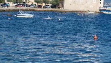 Apartman MARINO - Foto 2