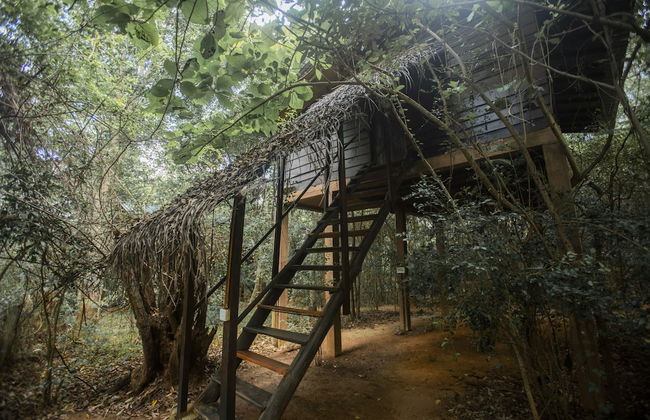 Inn On The Tree Eco Resort Sigiriya - Photo 6