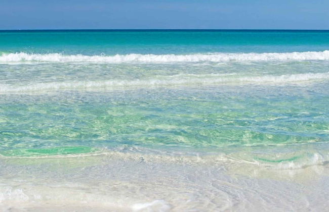 Woodland Shores - Foto 26