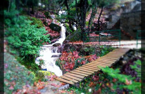 Ta Petrina - Foto 77