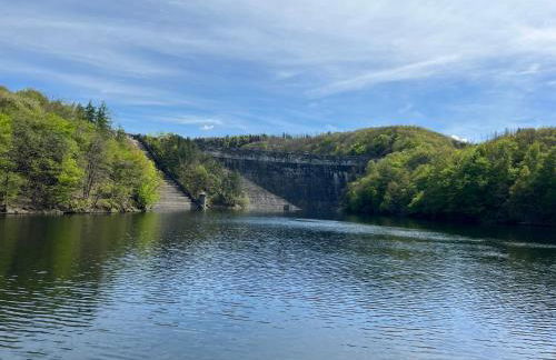 Eifel-Ferienhaus Lavendel - Photo 51
