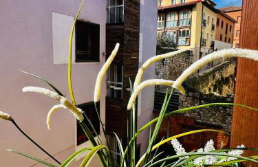 El Capricho de Claudia_ Apartamentos Burgos Catedral - Photo 9