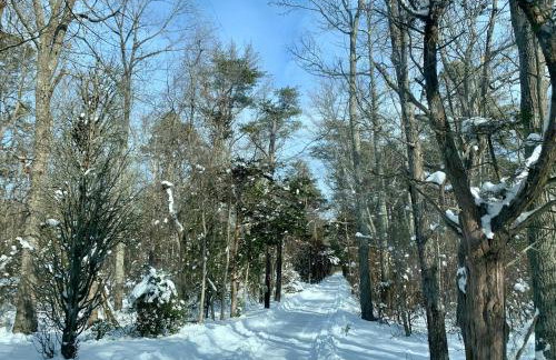 Sai Villa on Maurice River - Foto 30