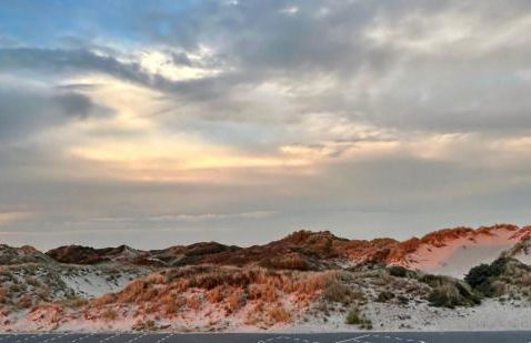 Studio DUNES de NALA avec balcon vue Dunes et latérale Mer pour 4 pers 100m plage wifi ménage compris - Foto 23