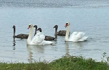 Mazury Przyjazny Dom w Leleszkach z gorącą balią - Photo 34