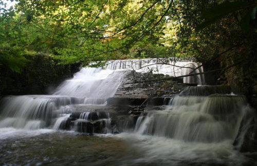 Swansea Valley Holiday Cottages - Foto 105