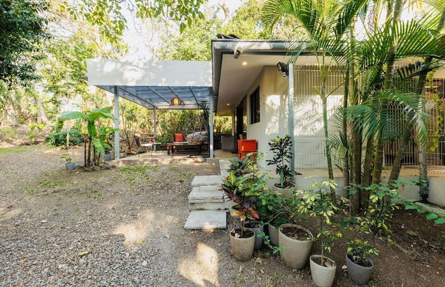 Relaxing Sound of River Birds Squirrels - Foto 35