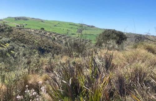 Casa Siempre feliz - Foto 25