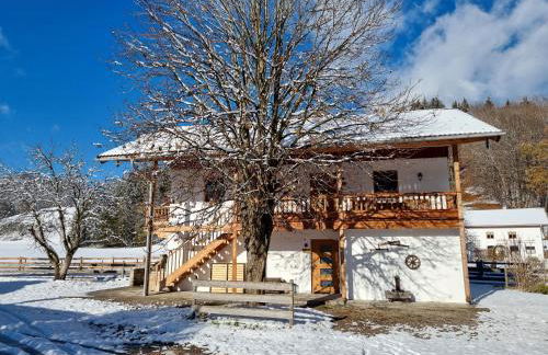 Kurzenwirt - Ferienwohnungen - Foto 7