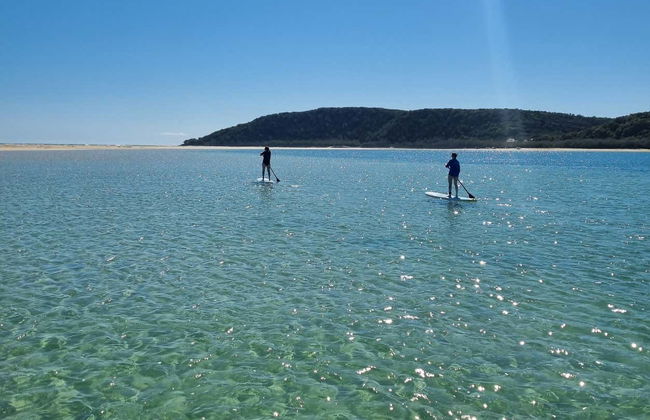 Stand Up Paddle Lesson - Photo 11