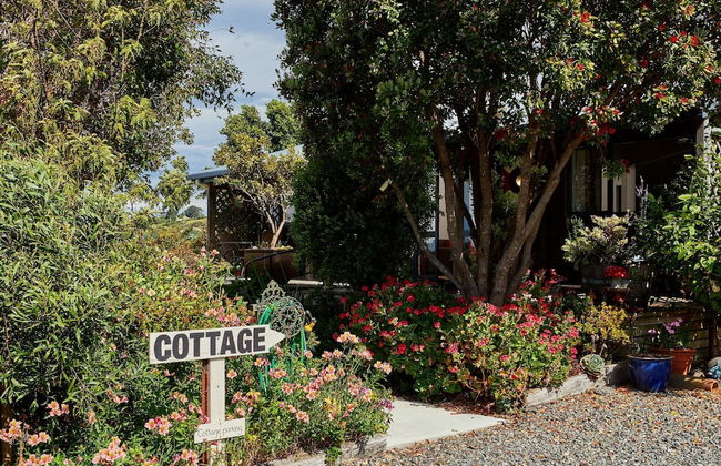 Barnacle Bills - Photo 55