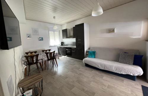 Gite des cigognes bleu - Foto 7