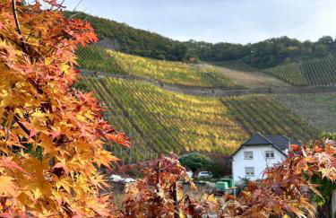 Ferienhaus rausZeit - Foto 19