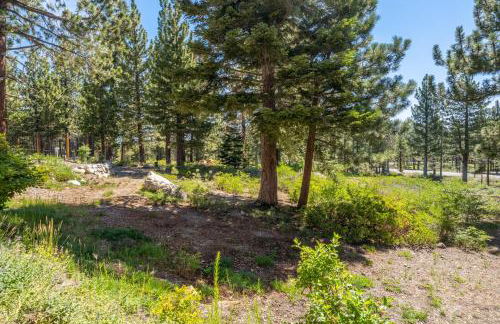 Solstice 8 - Foto 23