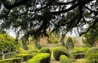 Alexander House - Foto 58