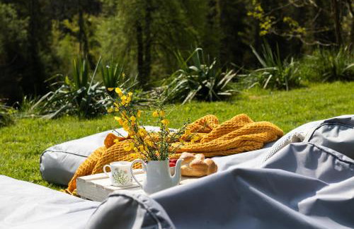 Sarnówka KDN - Foto 53