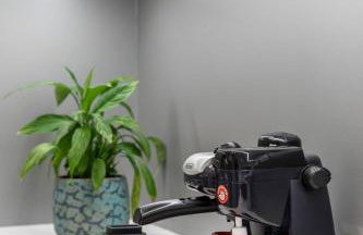 Marjan Forest Dream - Photo 13