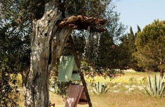 Masseria del Gigante - Foto 49