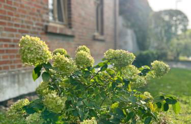 Eulenwohnung Apartment - Foto 20