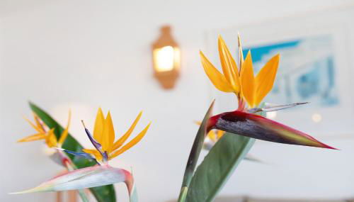 Villa Verde Superior B - Foto 5