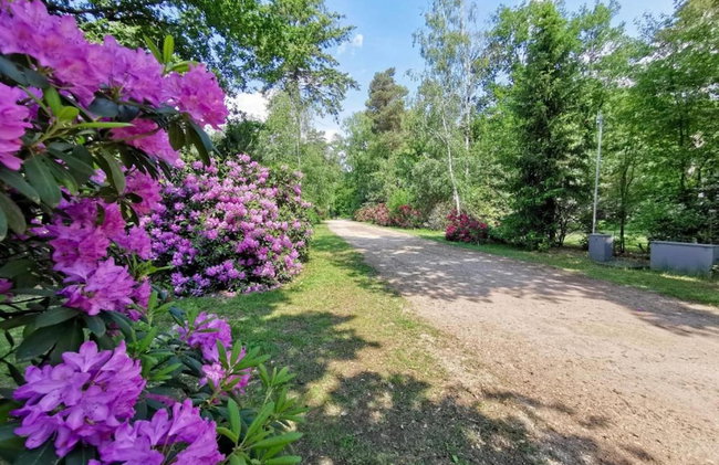 Holiday Home in Holten Near Lake Ijssel - Foto 20