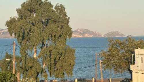 Argoliki Thalassa - Foto 4