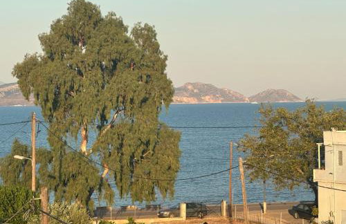 Argoliki Thalassa - Photo 4