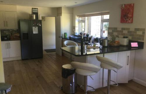 The Quackery - Foto 13