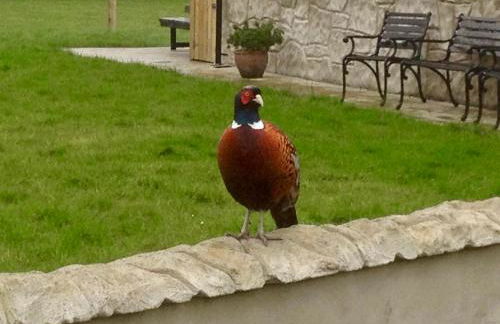 GlenHaven Holiday Accommodation - Foto 47