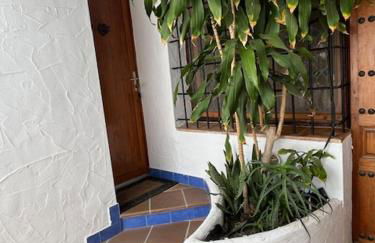 Studio Alba Beach - Photo 25