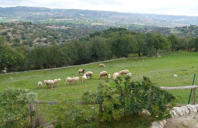Villa Gaia Agriturismo and B&b - Photo 51