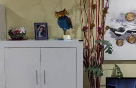 Apartamentos Ferrán Paqui - Foto 68