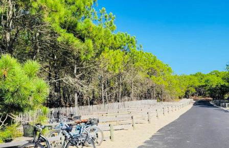 Chalet du bonheur - La Jenny naturist area - Foto 29