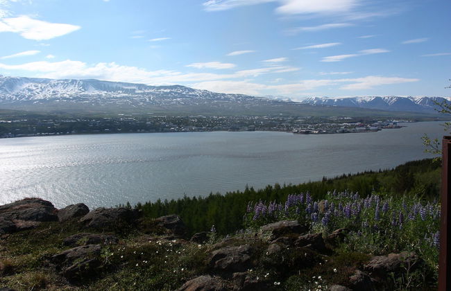 Viking Cottages and Apartments - Foto 78