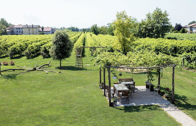 Agriturismo da Zeffi - Foto 61