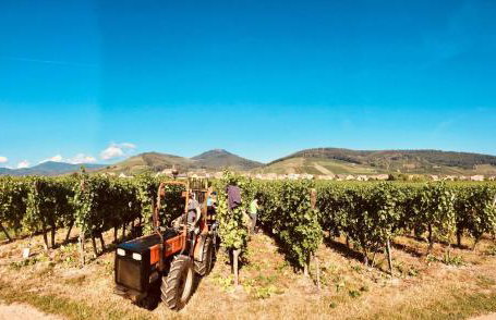 Gites Thirion - Foto 16