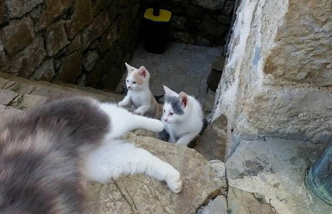 Agriturismo La Marianella - Foto 70