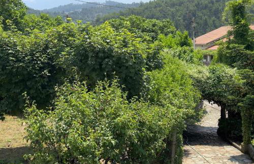 Casa de Greire - Foto 43