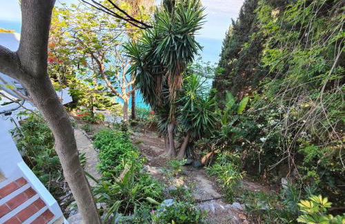 Only Adult Villa El Abanico - Foto 50