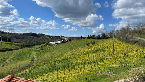 Podere Baratta agriturismo e cantina - Foto 4