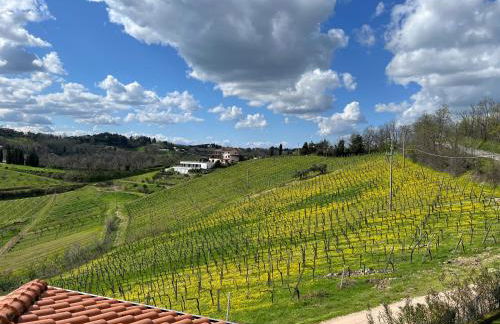 Podere Baratta agriturismo e cantina - Foto 4
