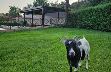 Retiro na Aldeia - Foto 15